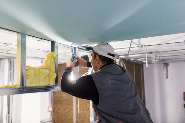 Best Insulation Maintenance and Repair in Bertville, AL