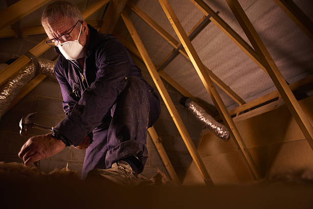 Best Types of Insulation in Bertville, AL